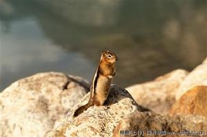 卡胡茲·別加國家公園