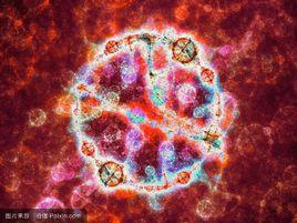 裂變截面 裂變截面