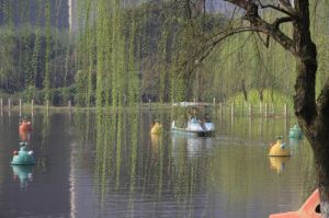 馬鞍池公園 馬鞍池公園
