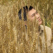 來自鞏高峰新浪部落格