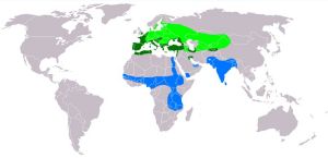 淺綠色：生育區；藍色：過冬地區；深綠色：全年生活