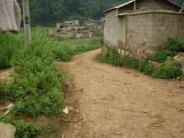 麥場村[雲南省昆明市盤龍區滇源鎮迤者村委會下轄村]