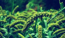 靈山風景區[北京市門頭溝區靈山風景區]