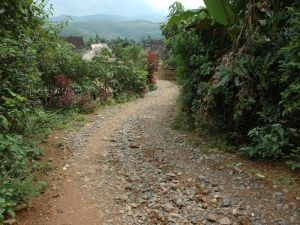 帕遷老寨村 帕遷老寨村