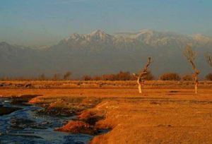 柴窩堡湖遊覽區