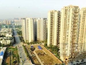 金沙別致 金沙別致