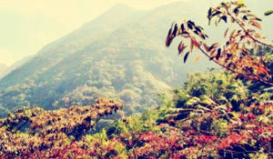 三十把省級自然保護區