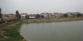 大雄村[廣東省開平市龍勝鎮大雄村]