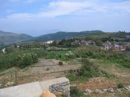 三塘村[雲南省瀘西縣]