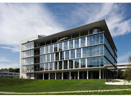 桐蔭橫浜大學 桐蔭橫浜大學