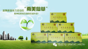 耶巴馬黛茶袋泡裝