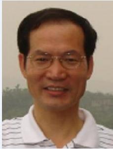 劉衛東[西北工業大學教授]