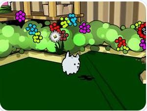 丟失的寵物 丟失的寵物