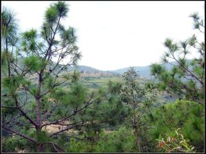 小里上村 小里上村