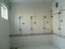 公共澡堂[日本公共澡堂]