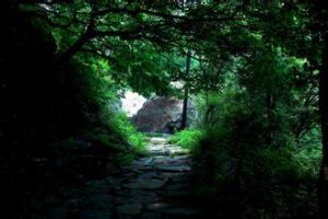 妙峰山古香道 妙峰山古香道