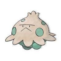 蘑菇孢子 蘑菇孢子