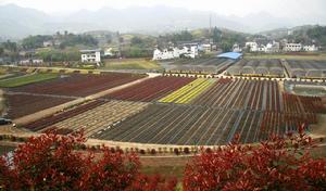 重慶台灣農民創業園 重慶台灣農民創業園