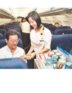 欣豐虎航空公司 欣豐虎航空公司