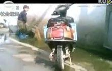 殺魚弟的生活環境