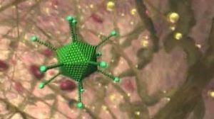 囊腫性纖維化 囊腫性纖維化