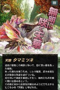 天眼泡狐龍 天眼泡狐龍