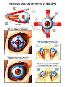 眼球運動障礙