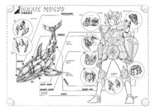 聖鬥士星矢[車田正美原作的漫畫]