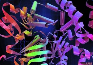 上海信裕生物科技有限公司