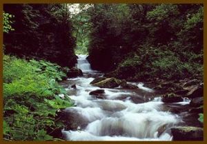 二龍河[寧夏固原市涇源縣二龍河]