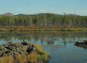 科爾沁右翼前旗