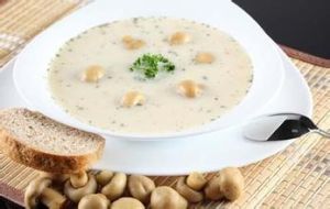 西式靚湯奶油蘑菇濃羹 西式靚湯奶油蘑菇濃羹