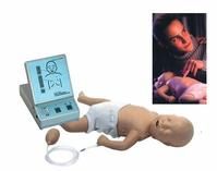 第六代高級嬰兒復甦模擬人 第六代高級嬰兒復甦模擬人
