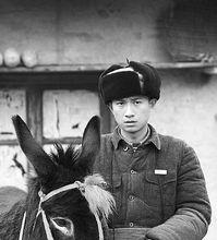 電影《走著瞧》