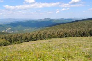 遼河源國家森林公園