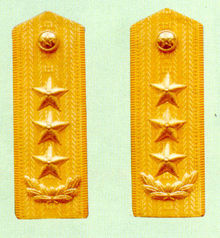 武警上將常服肩章(1993～2007)