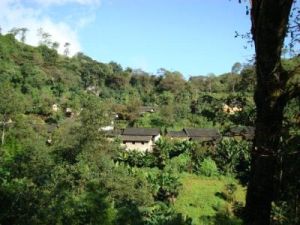 落水壩自然村 落水壩自然村