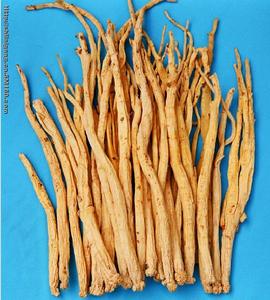 黨參杞子燉胎盤 黨參杞子燉胎盤