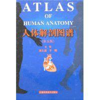 人體解剖圖譜 人體解剖圖譜