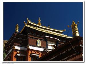 丹貝旺秋 丹貝旺秋