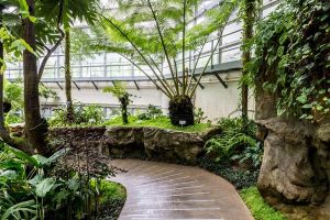 香港動植物公園