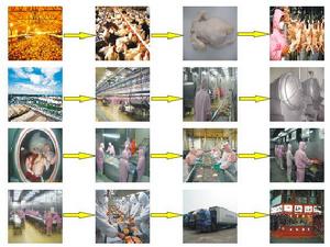 農場農夫 農場農夫