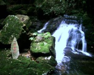 斗蓬山自然保護區