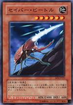 軍刀甲蟲 軍刀甲蟲