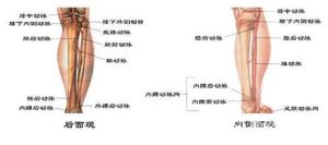 小腿動脈損傷 小腿動脈損傷