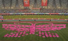 河北省第十四屆運動會 河北省第十四屆運動會