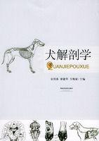 犬解剖學 犬解剖學