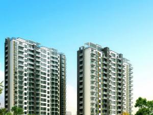 心海壹號 心海壹號