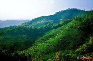 三里城鎮 三里城鎮
