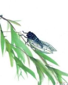 蟬鳴[蟬的聲音]